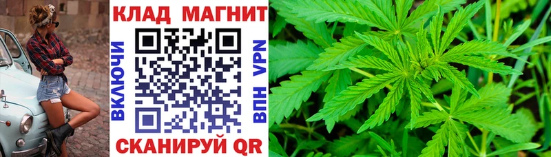 Наркошоп купить МДМА  МЕФ  Гашиш  Кириши