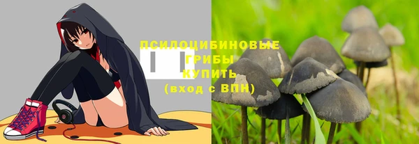 героин Лагань