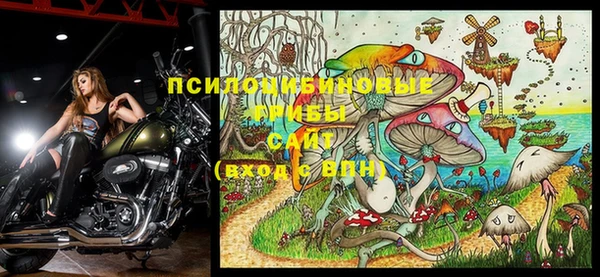 героин Лагань